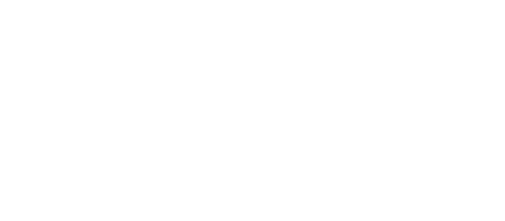 expert-trades-logo-w